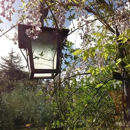 Casa Elisabetta Dom wakacyjny