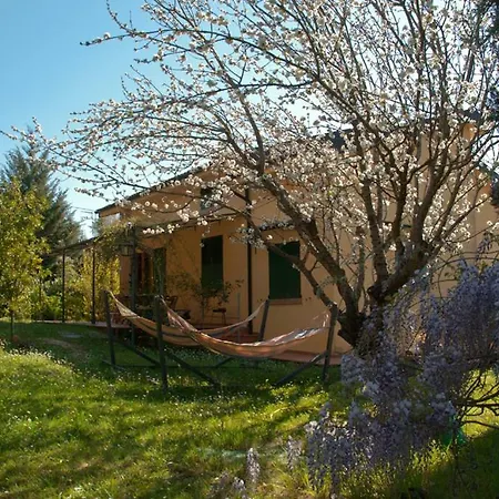 Casa Elisabetta * Montescudaio